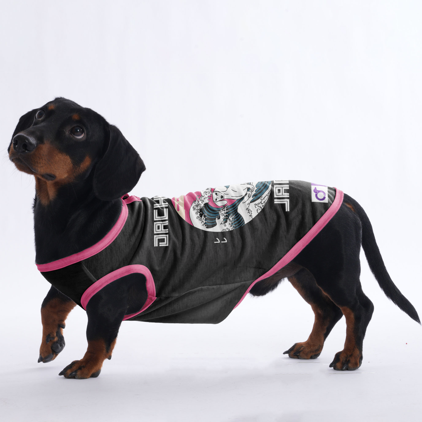 Teddy -  Shirt for Dachshunds