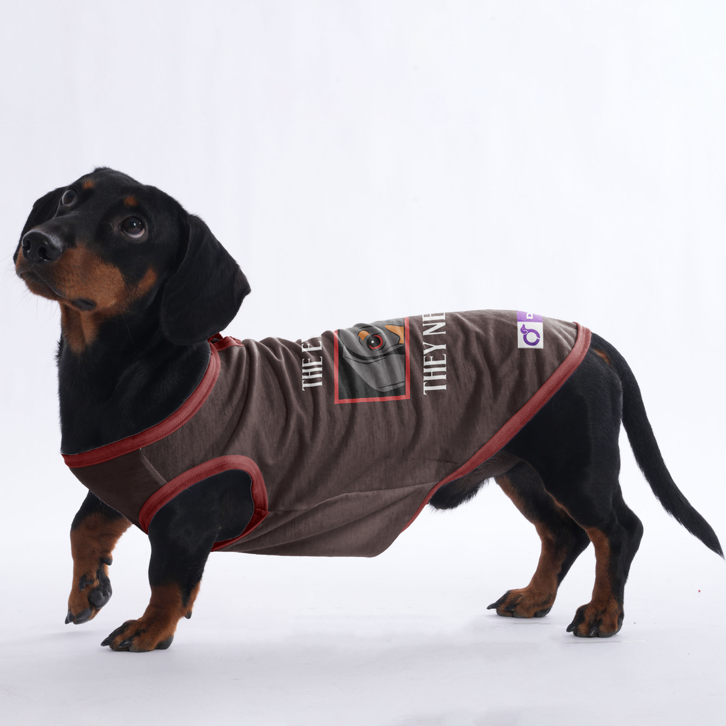 Maggie -  Shirt for Dachshunds