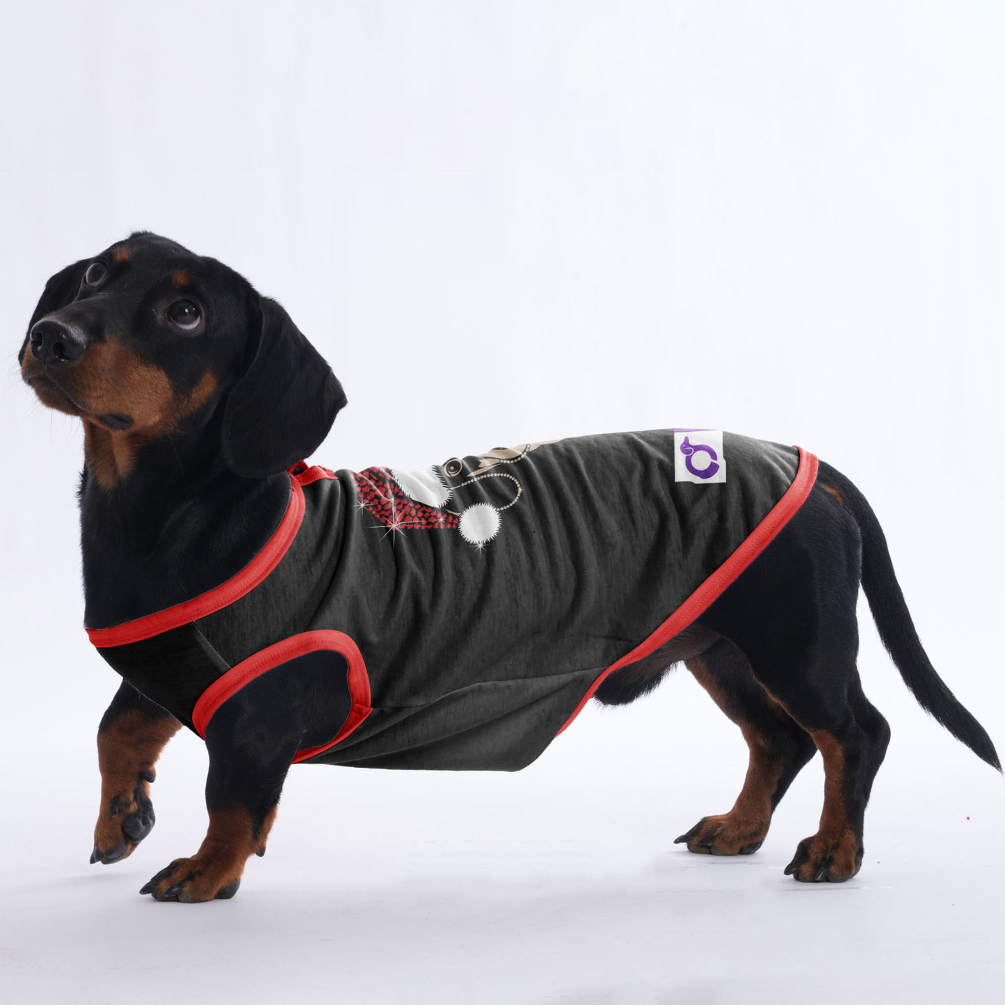 Luna -  Shirt for Dachshunds