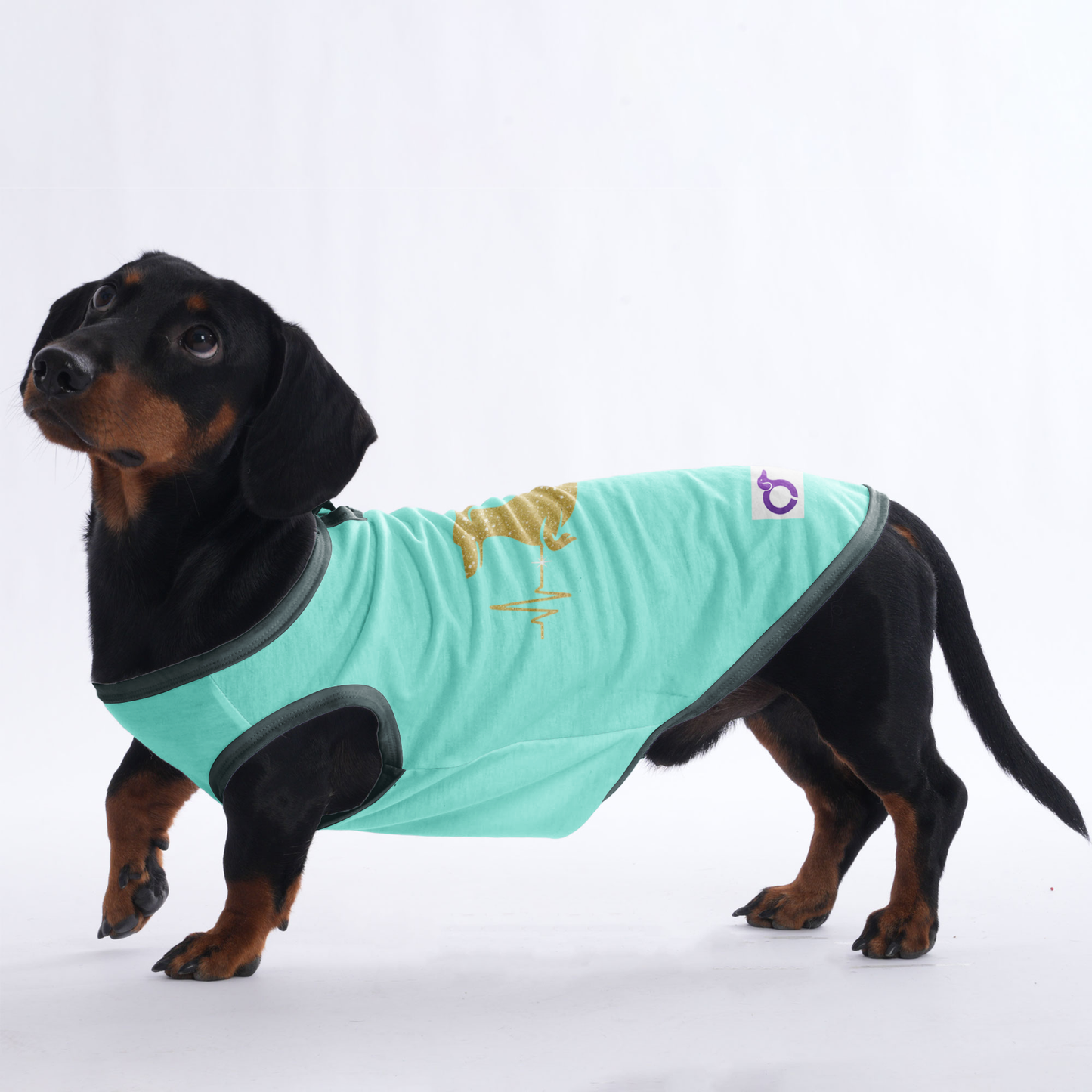 Max -  Shirt for Dachshunds