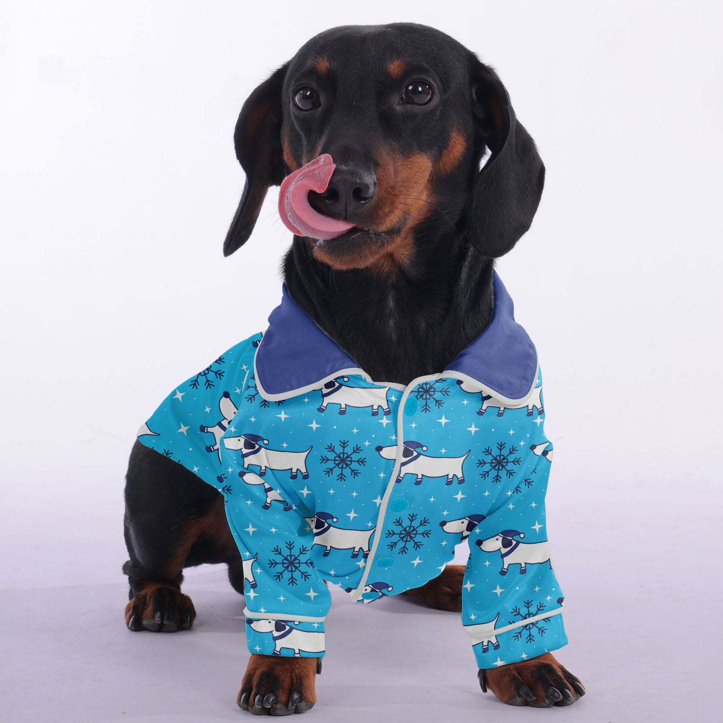 Rachel-  Pajamas for Dachshund