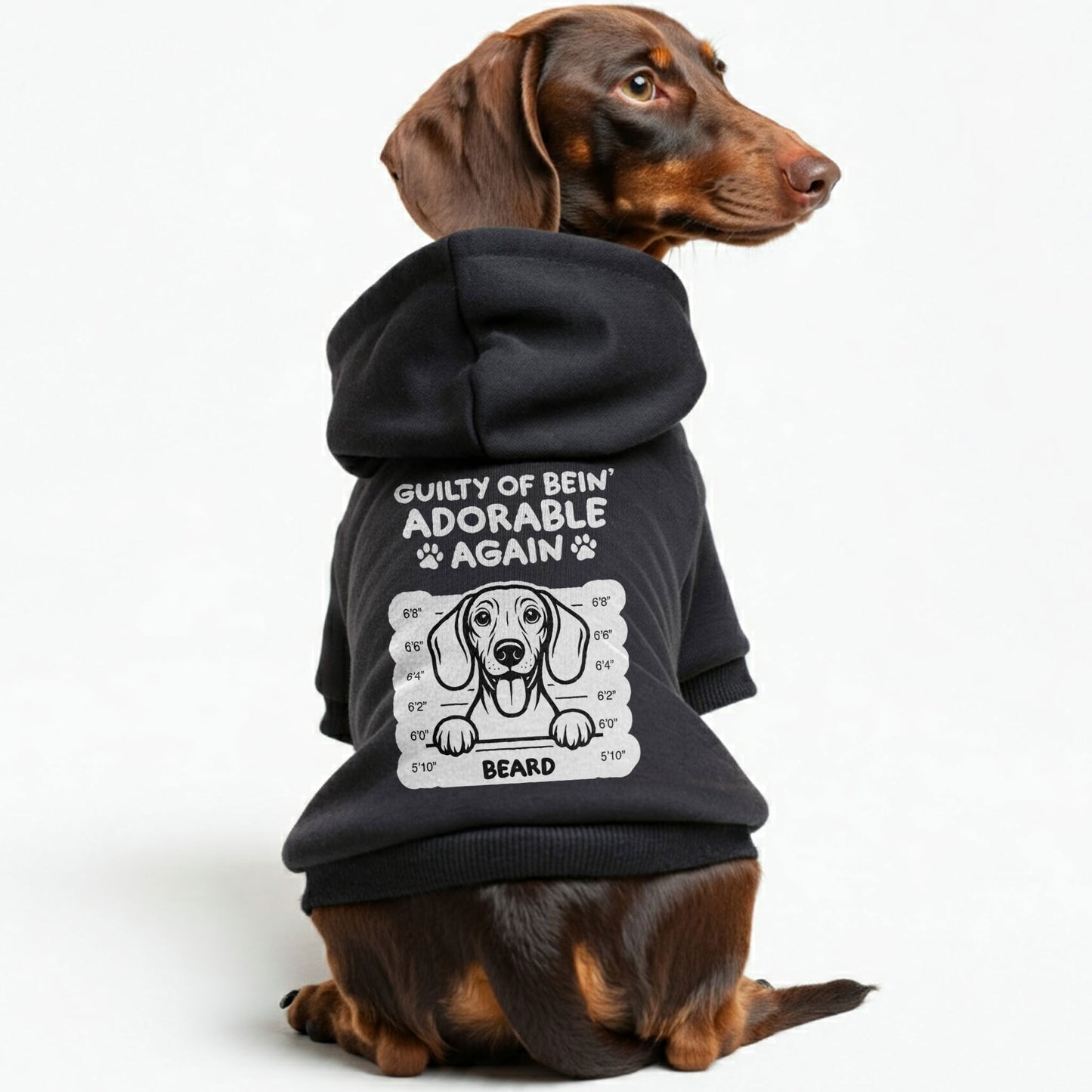 Guilty of bein’ - Personalized Dachshund Hoodies with your doxie name – Stylish, Cozy, and Premium 100% Cotton