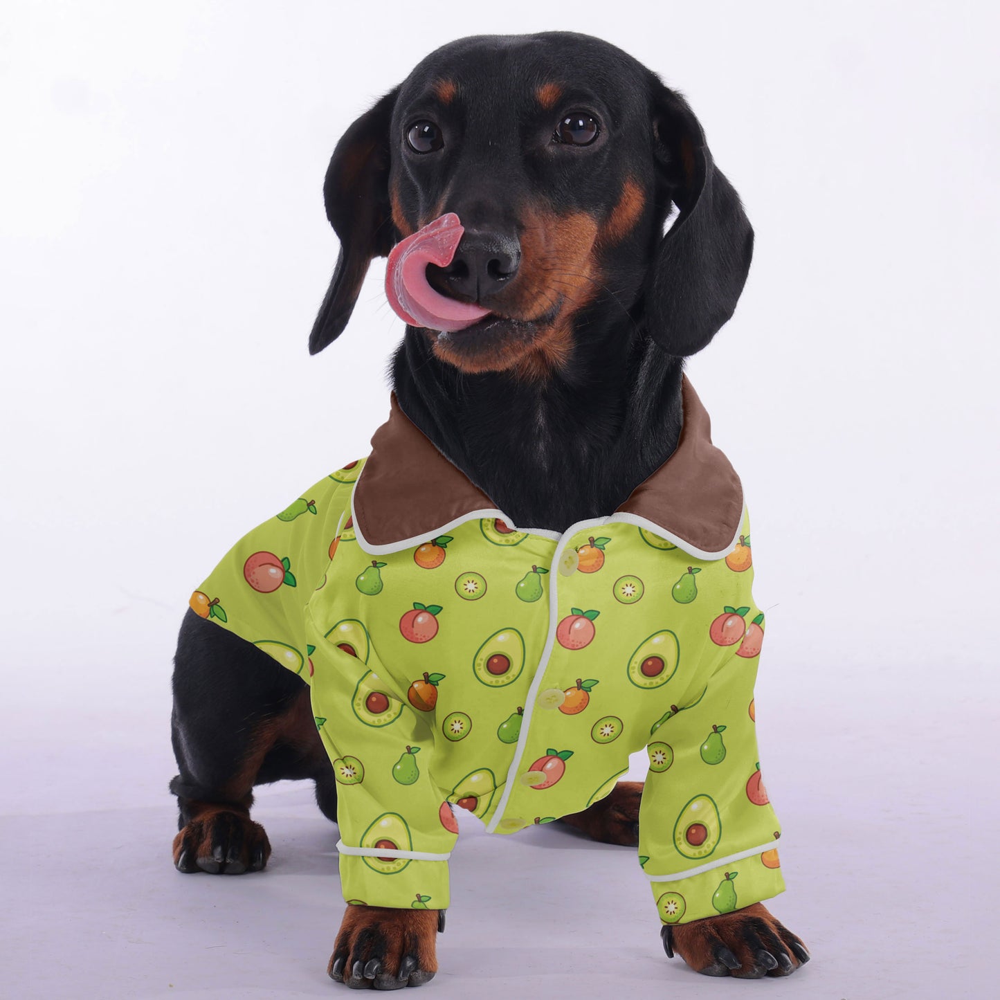 Paul -  Pajamas for Dachshund