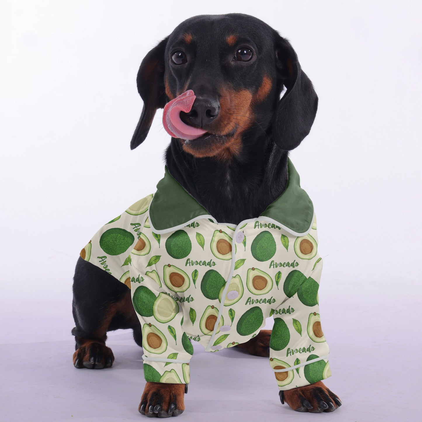 Shannon - Pajamas for Dachshund