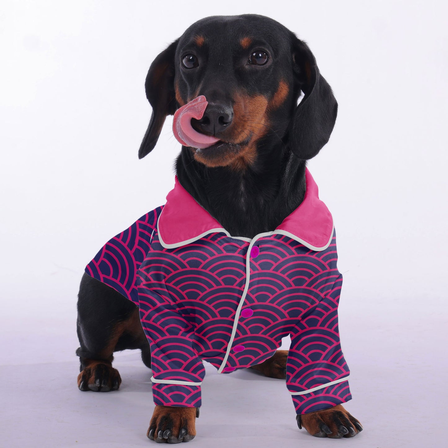 Willy -  Pajamas for Dachshund