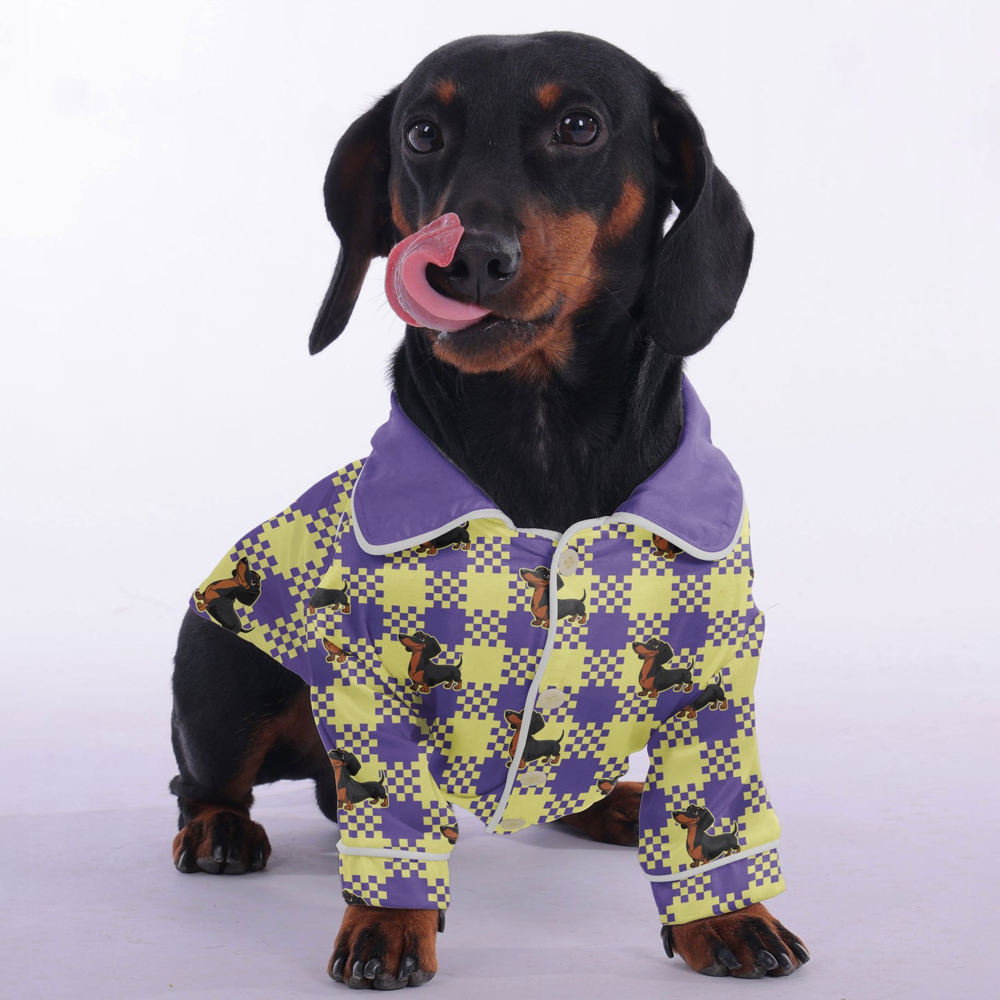 Toby -  Pajamas for Dachshund