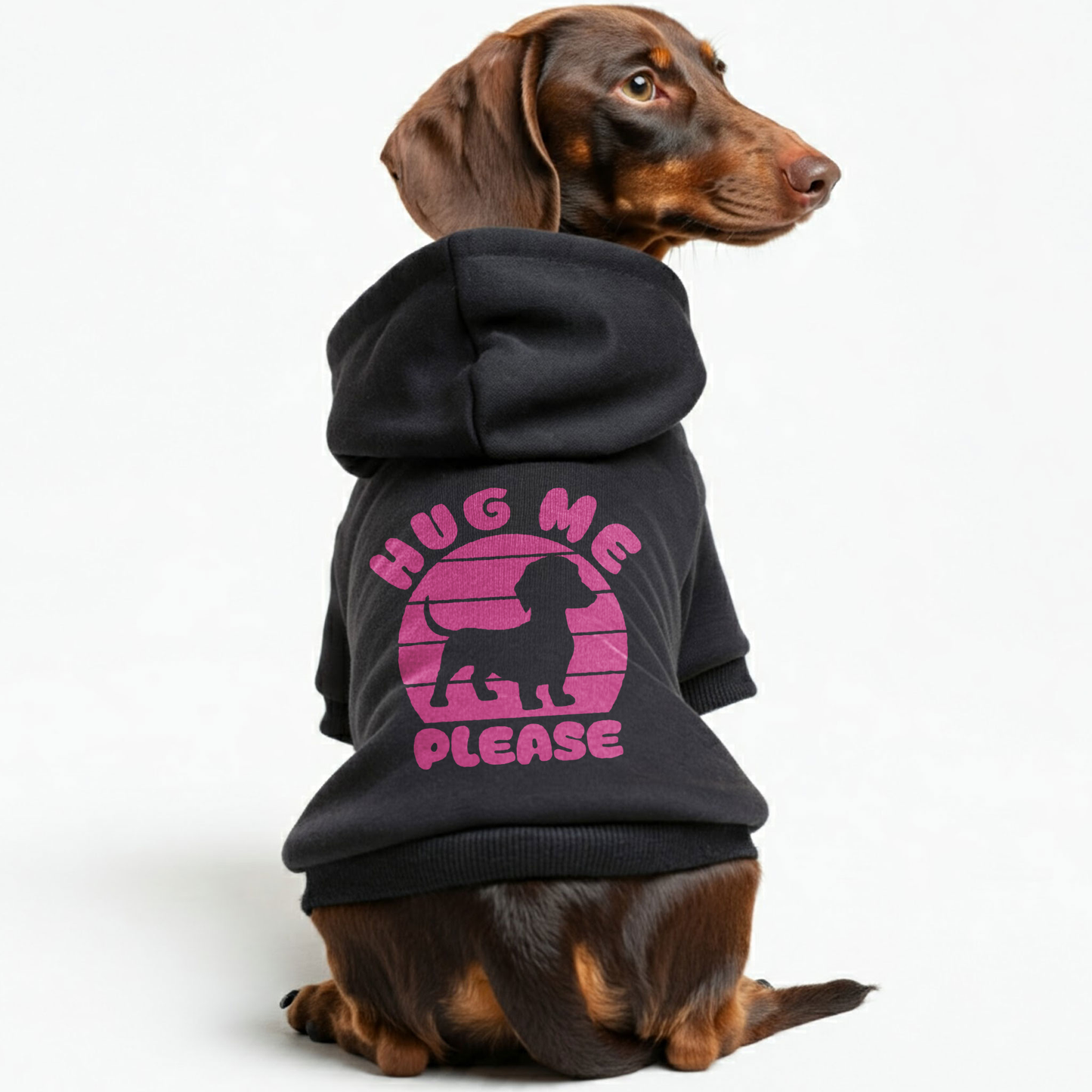 HUG ME PLEASE - Personalized Dachshund Hoodies with Funny Quotes – Stylish, Cozy, and Premium 100% Cotton