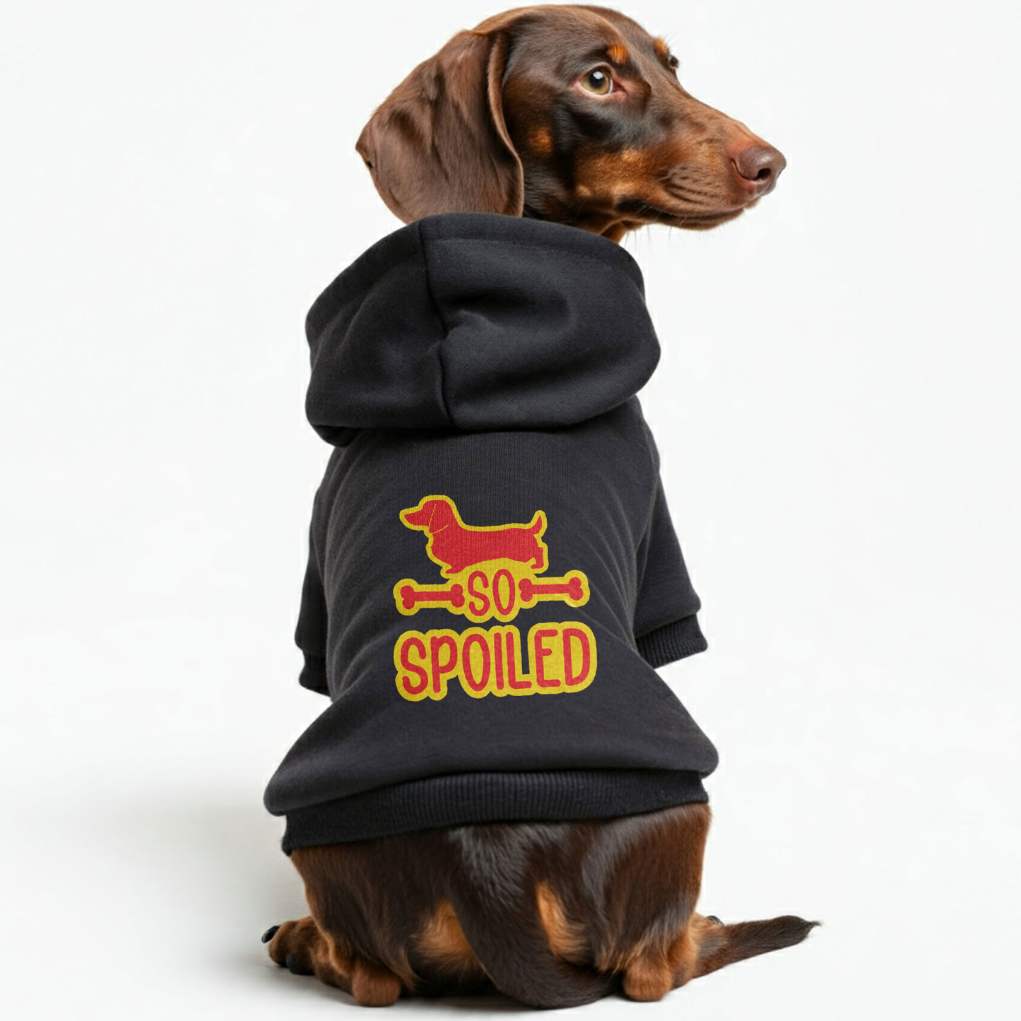 SO SPOILED - Personalized Dachshund Hoodies with Funny Quotes – Stylish, Cozy, and Premium 100% Cotton