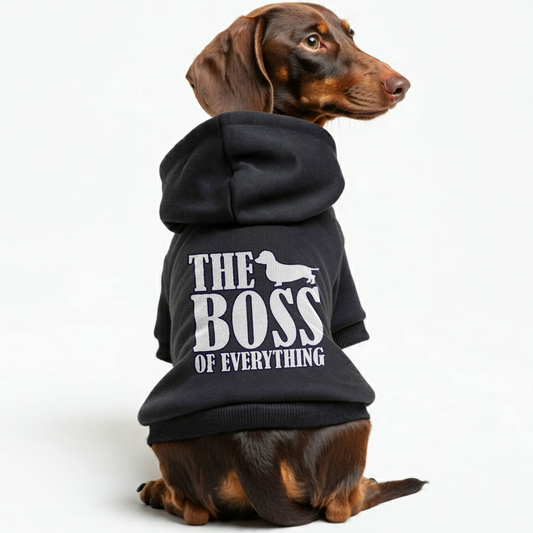 The BOSS - Personalized Dachshund Hoodies with Funny Quotes – Stylish, Cozy, and Premium 100% Cotton