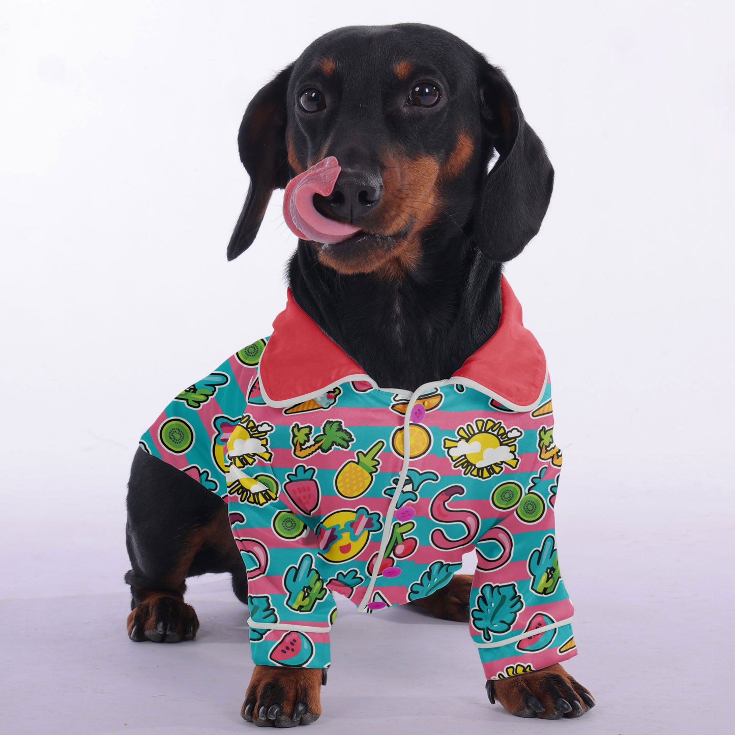 Betty -  Pajamas for Dachshund