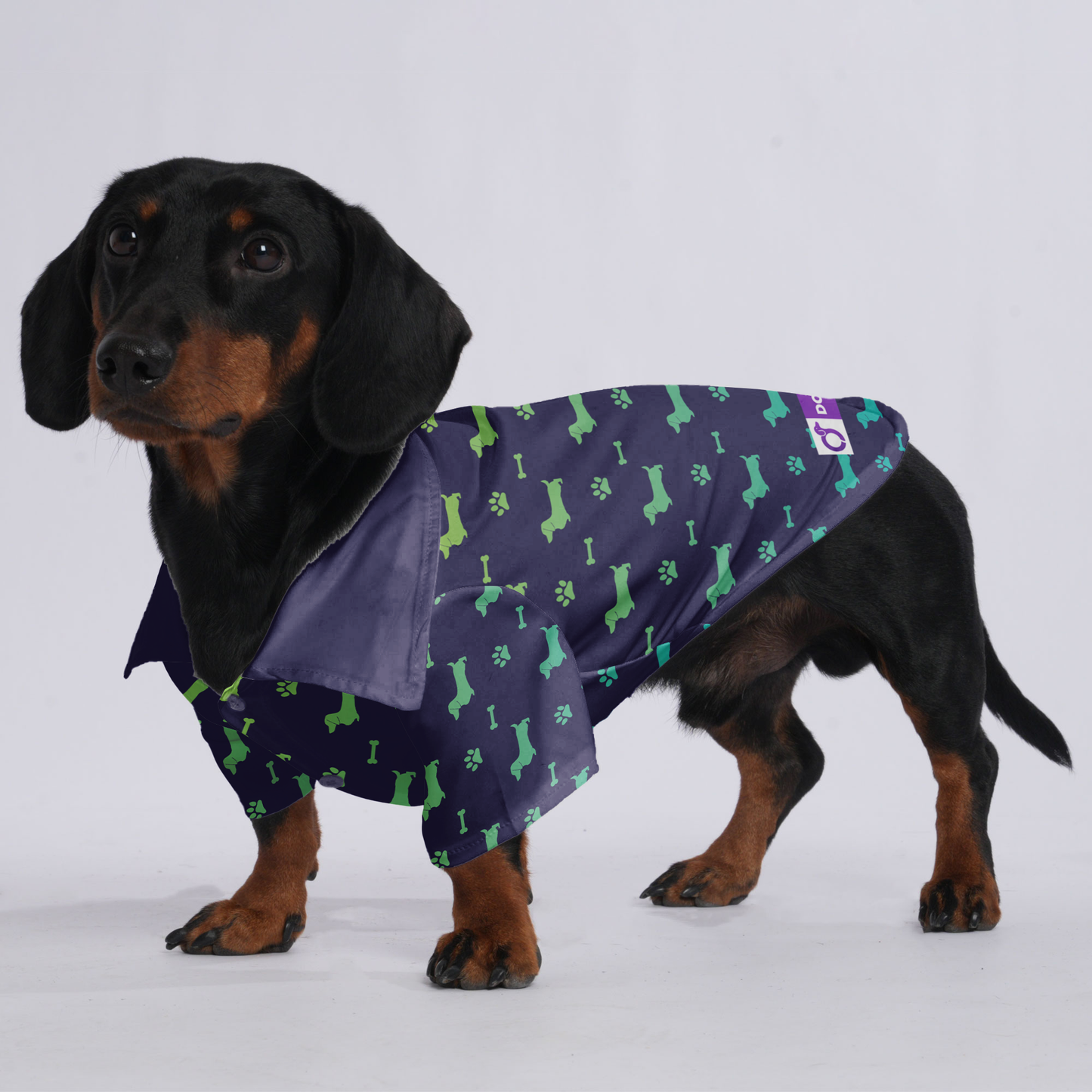 Hugo - Hawaiian Shirt for Doxies