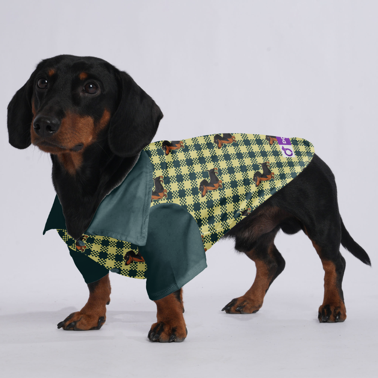 Sage - Hawaiian Shirt for Doxies