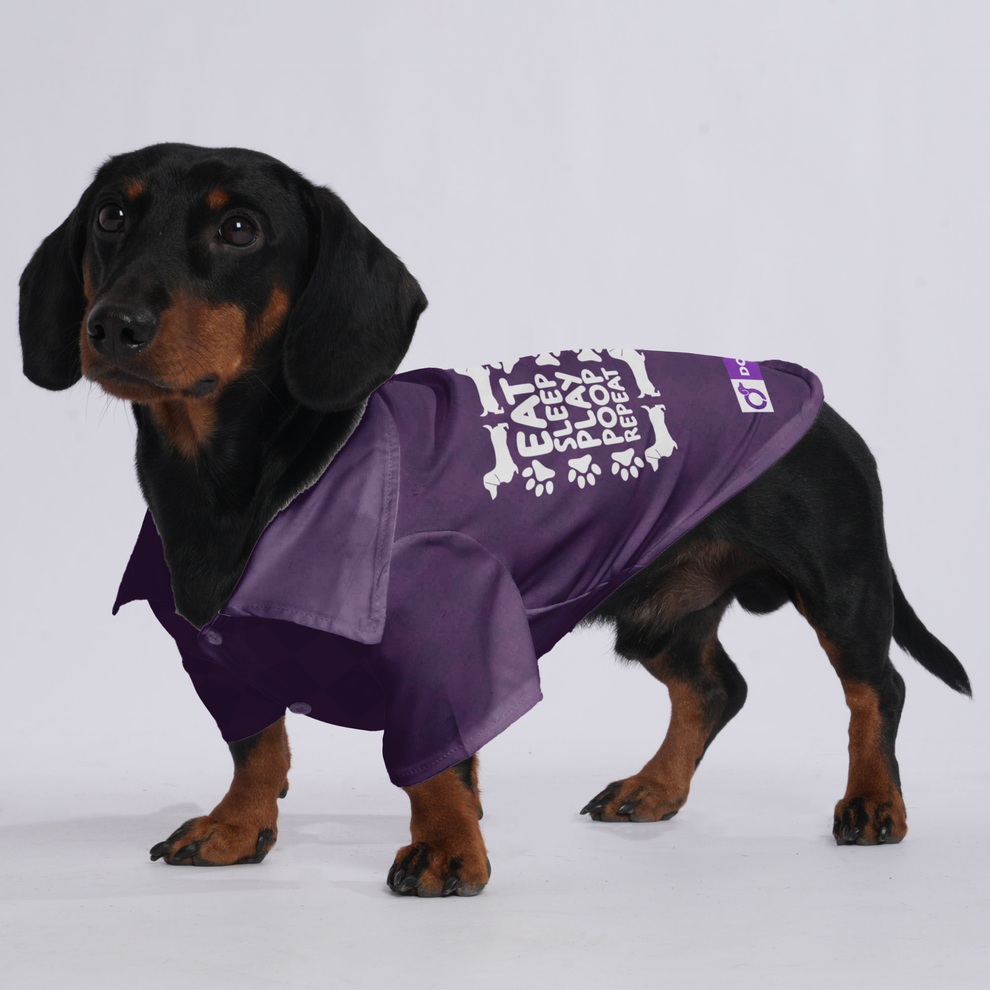 EAT, SLEEP, PLAY, POOP, REPEAT - Hawaiian Shirt for Doxies