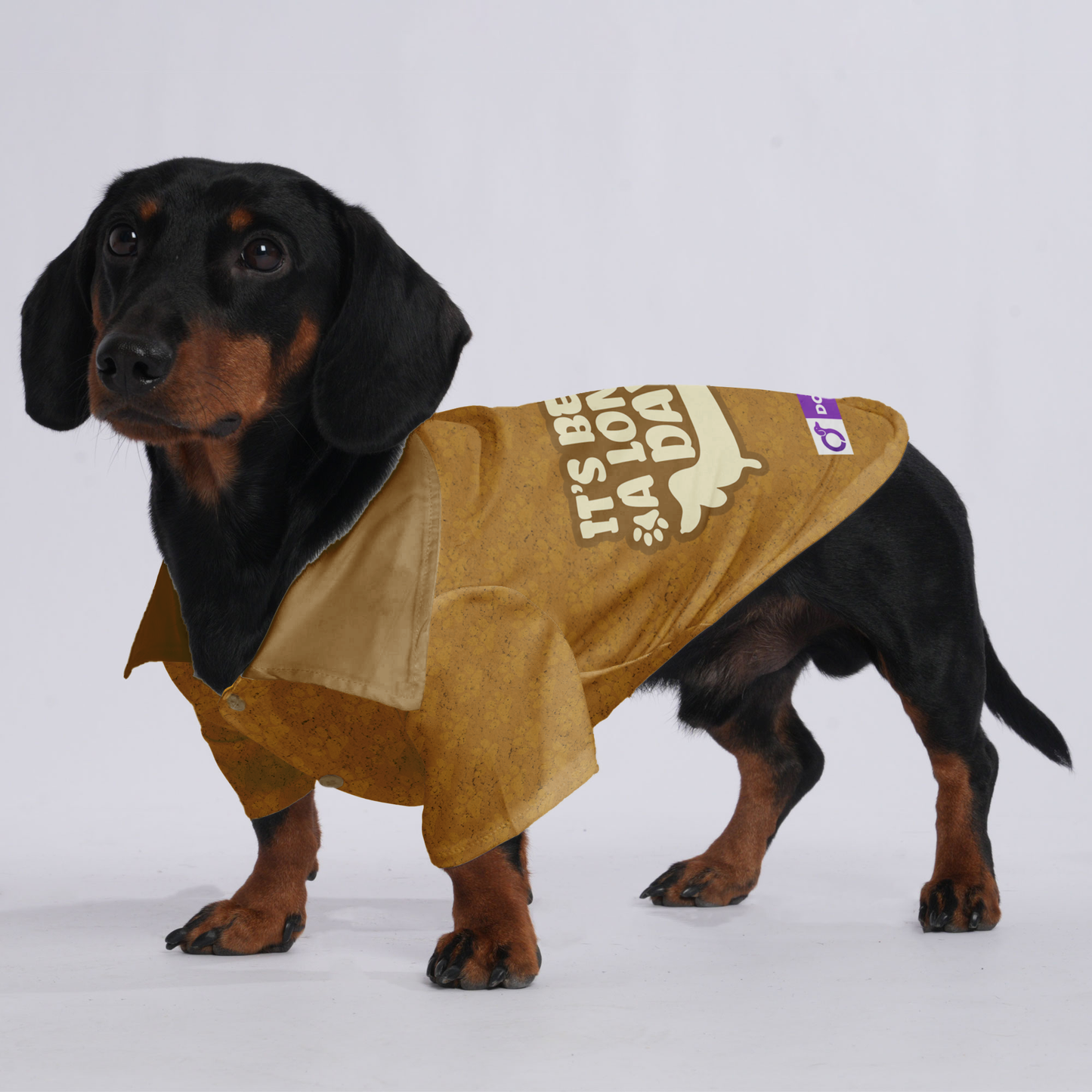 It’s Been A Long Day - Hawaiian Shirt for Doxies