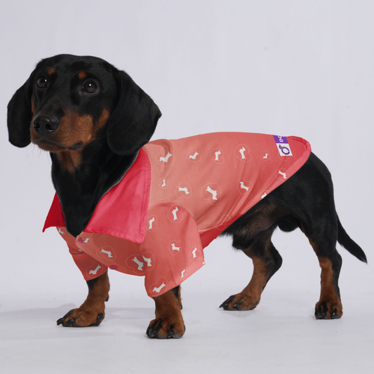 Lona - Hawaiian Shirt for Doxies