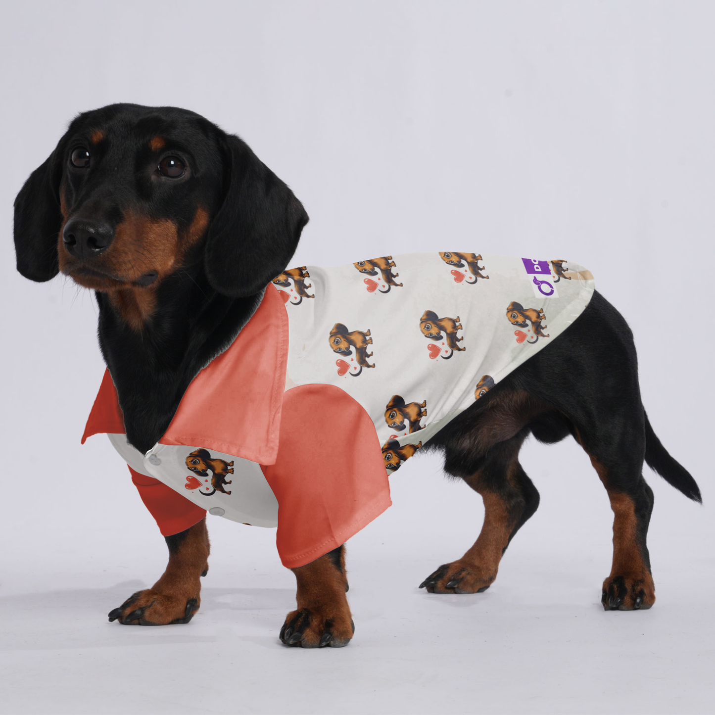Lotte - Hawaiian Shirt for Doxies