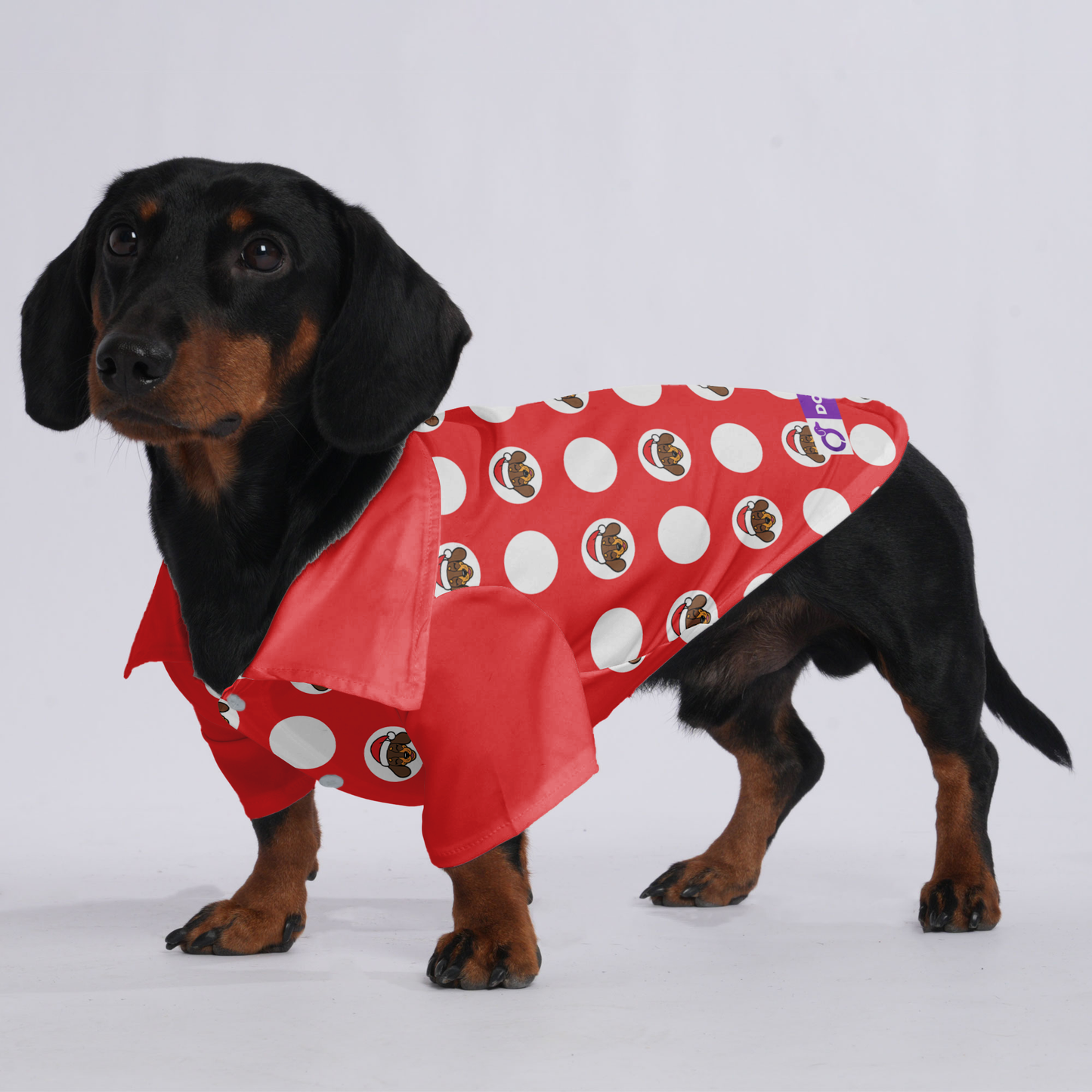 Milo - Hawaiian Shirt for Doxies