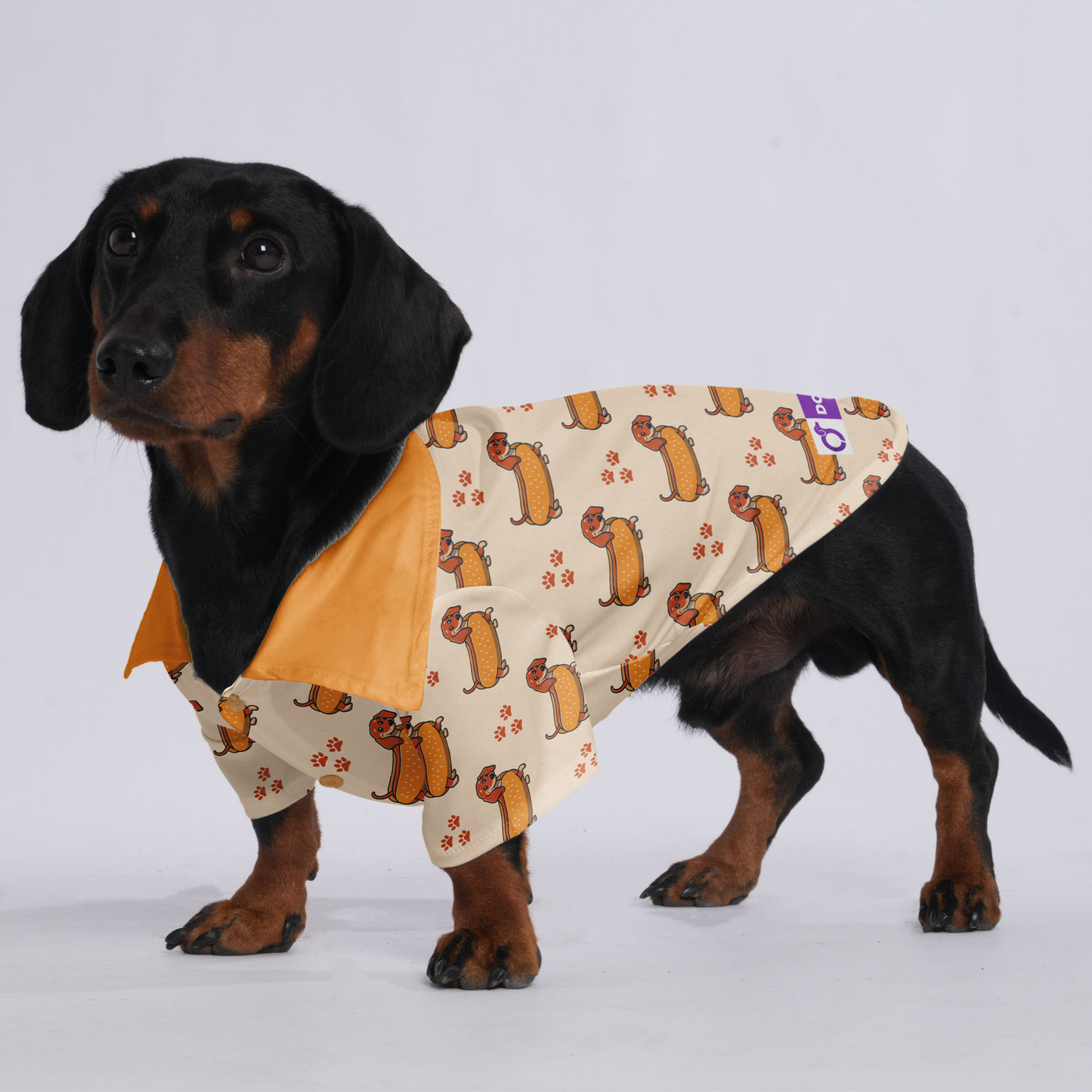 Maple - Hawaiian Shirt for Doxies