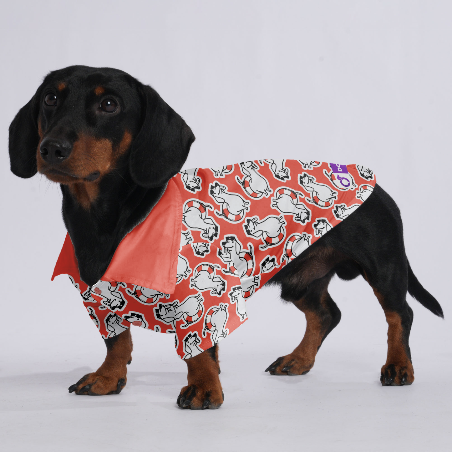 Nelson - Hawaiian Shirt for Doxies