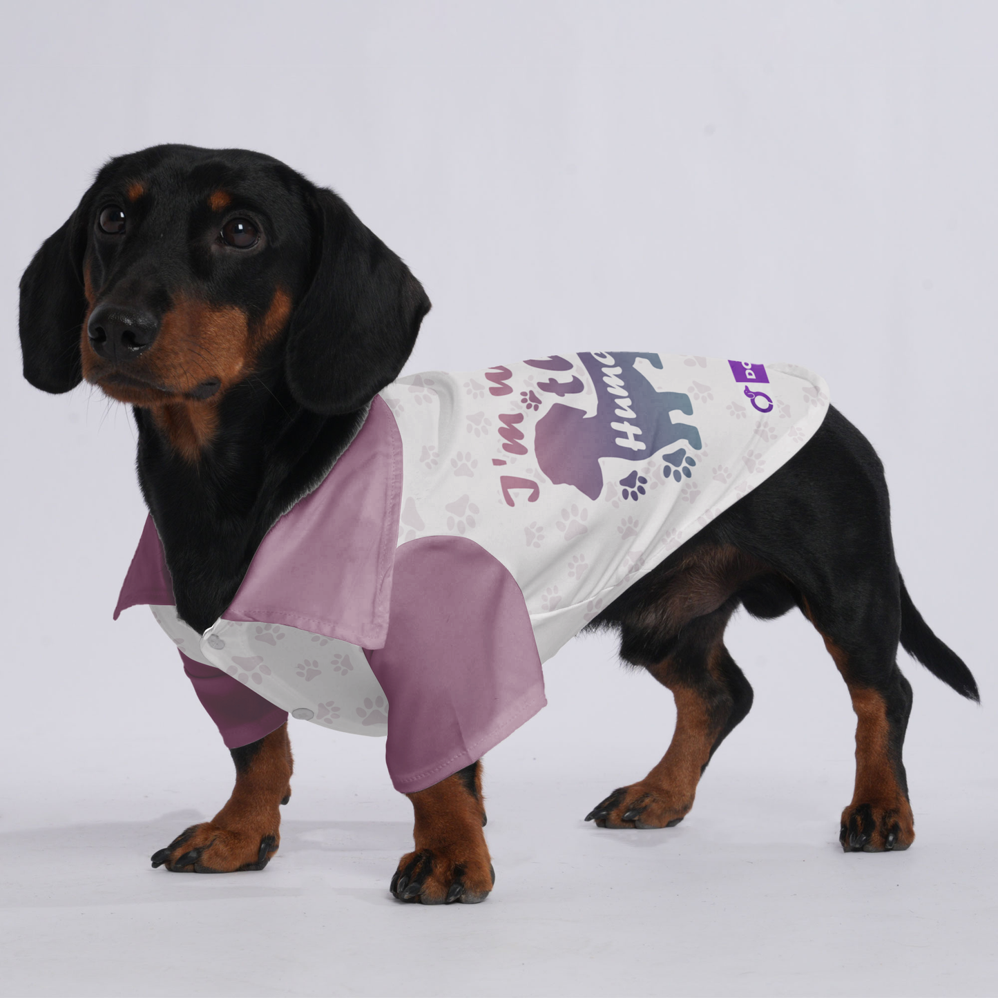 I'm with the human - Hawaiian Shirt for Doxies