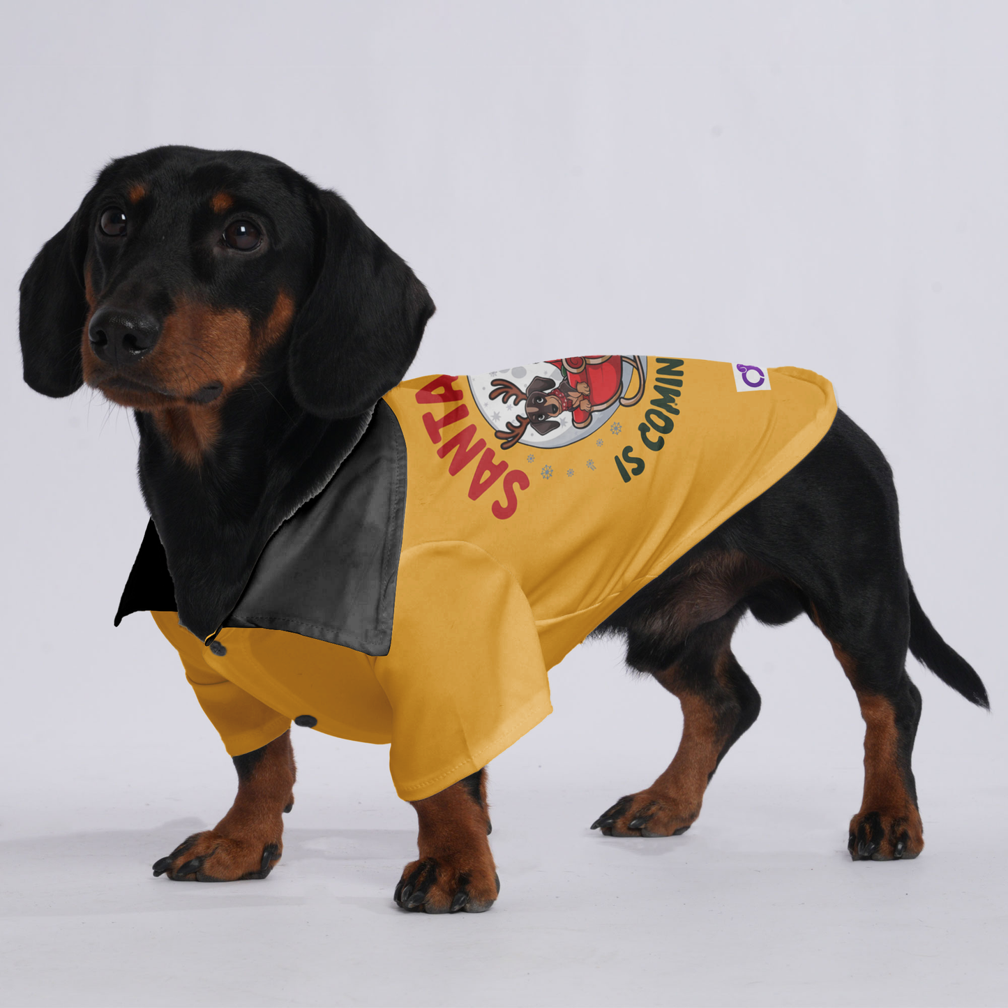 Santa Paws is coming to town - Hawaiian Shirt for Doxies