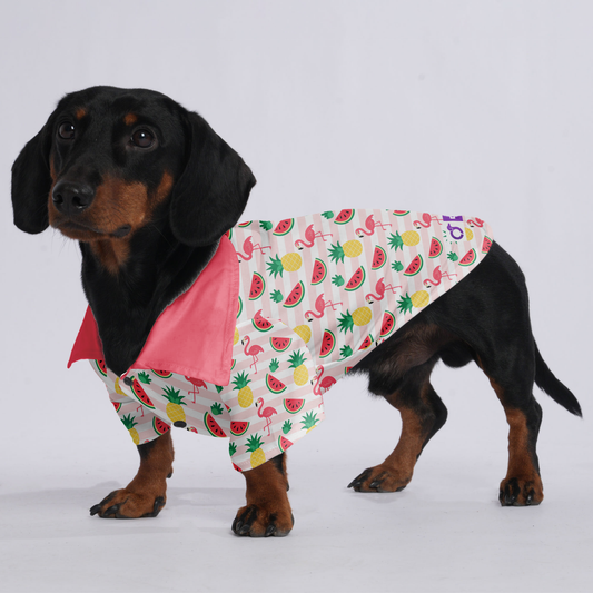 Lulu - Hawaiian Shirt for Doxies