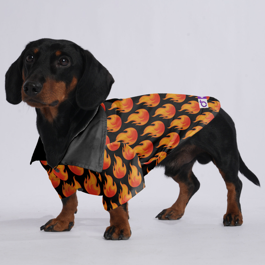 Nala - Hawaiian Shirt for Doxies