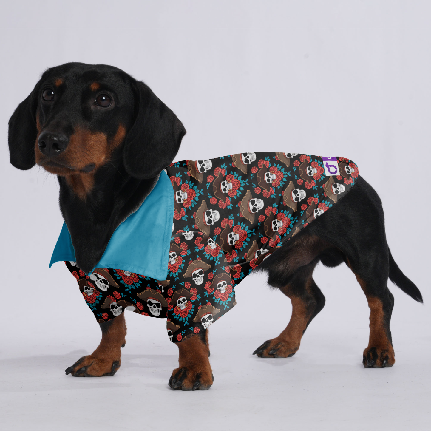 The Pirate - Hawaiian Shirt for Doxies