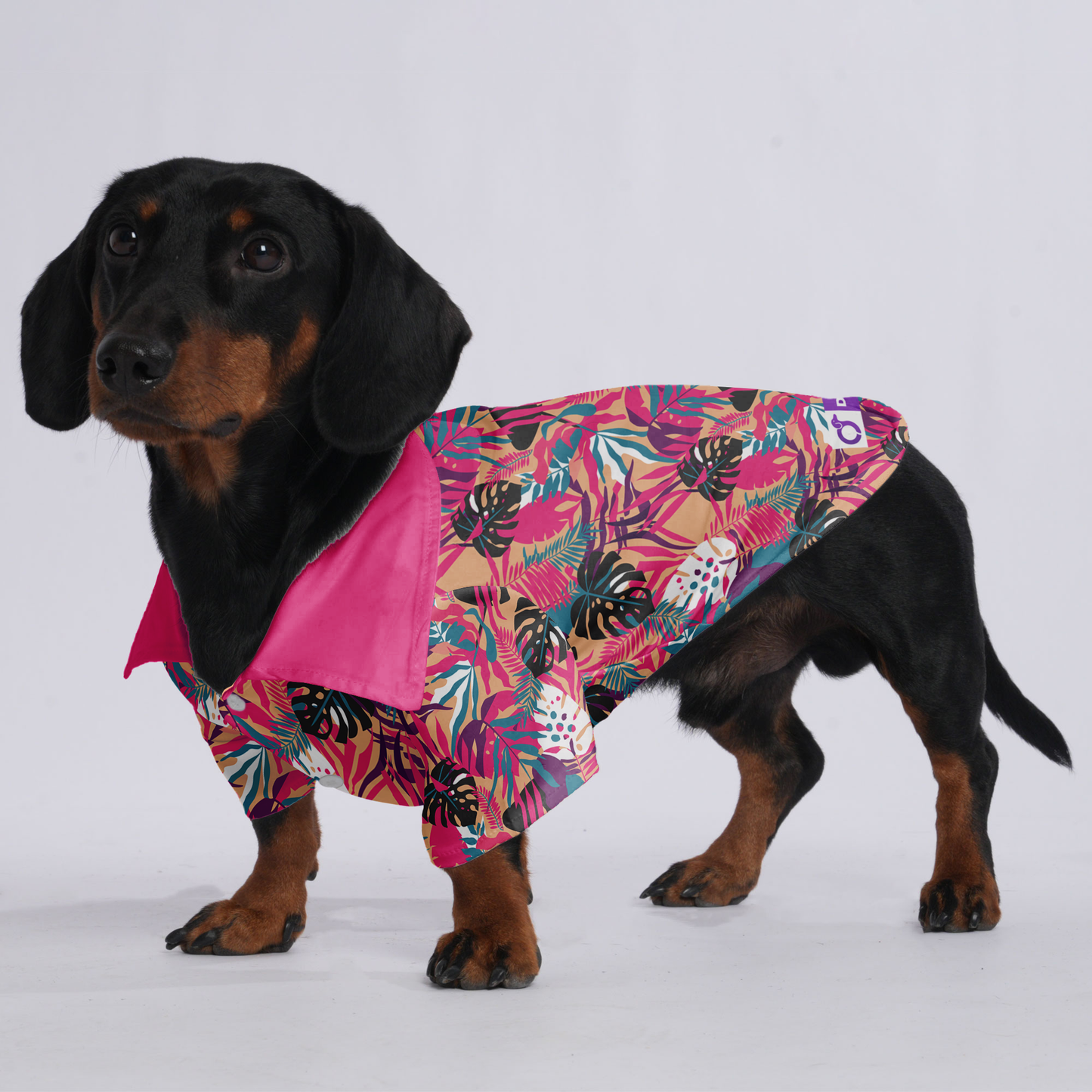 Lexi - Hawaiian Shirt for Doxies