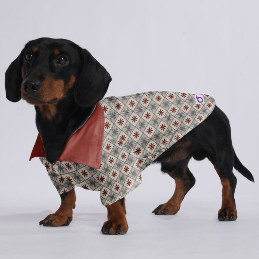 Bruno - Hawaiian Shirt for Doxies