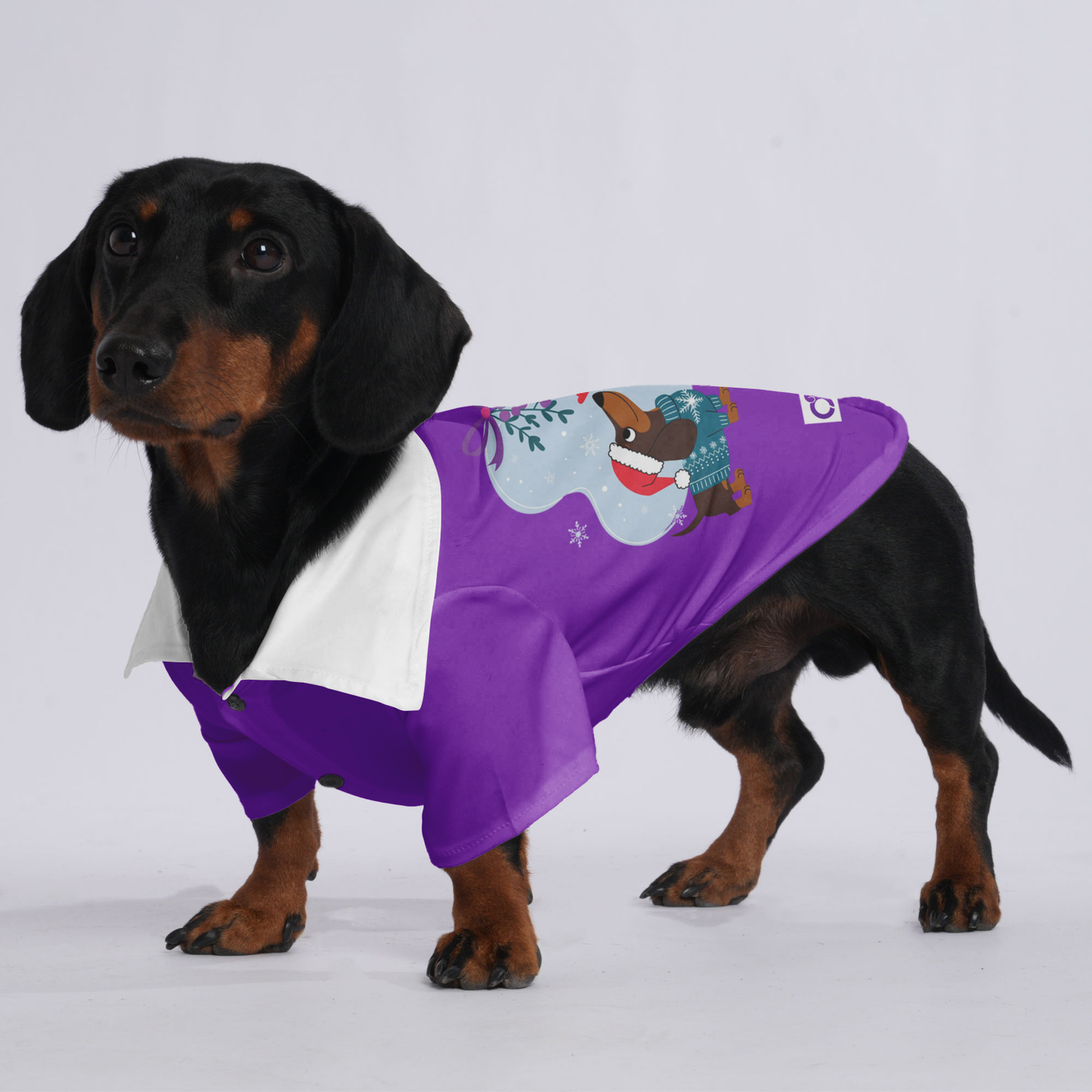 Buddy - Hawaiian Shirt for Doxies