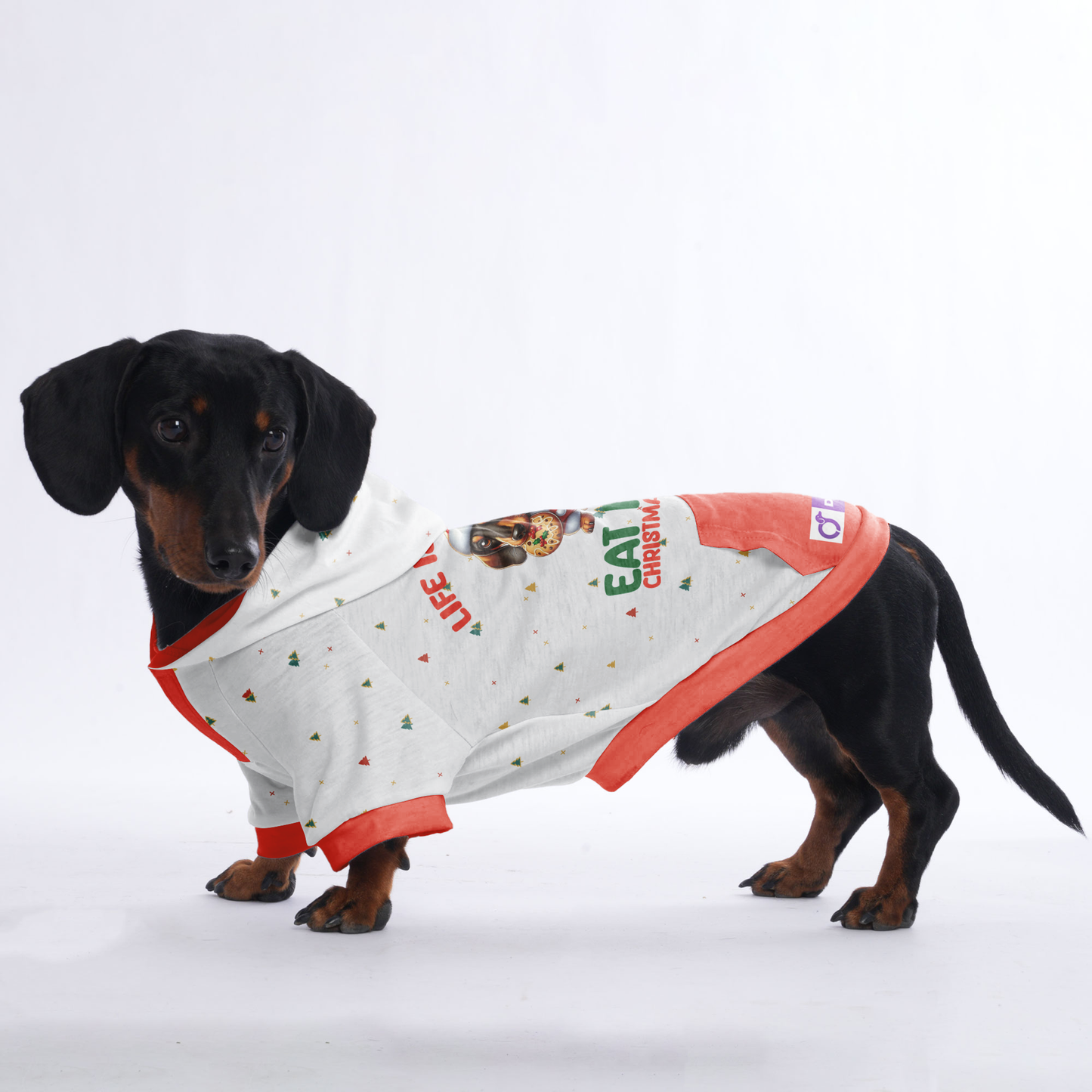 Life is short, eat more christmas cookies - Hoodies for Dachshunds