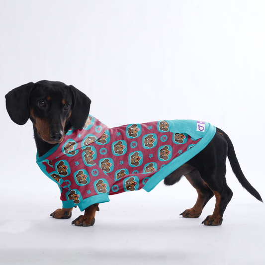 Riley - Hoodies for Dachshunds