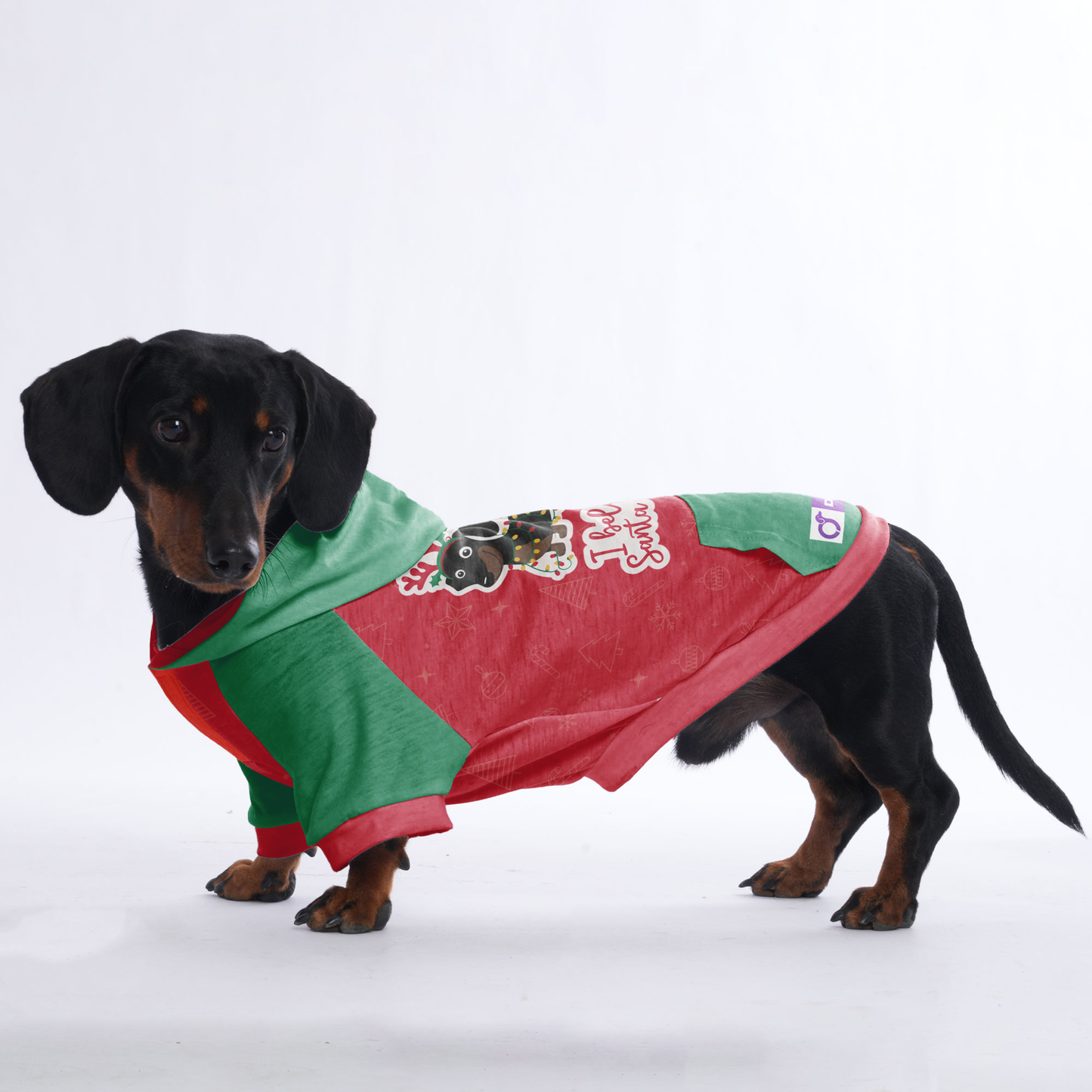 I belive in santa paws - Hoodies for Dachshunds