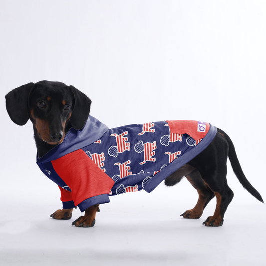 Lizzo - Hoodies for Dachshunds