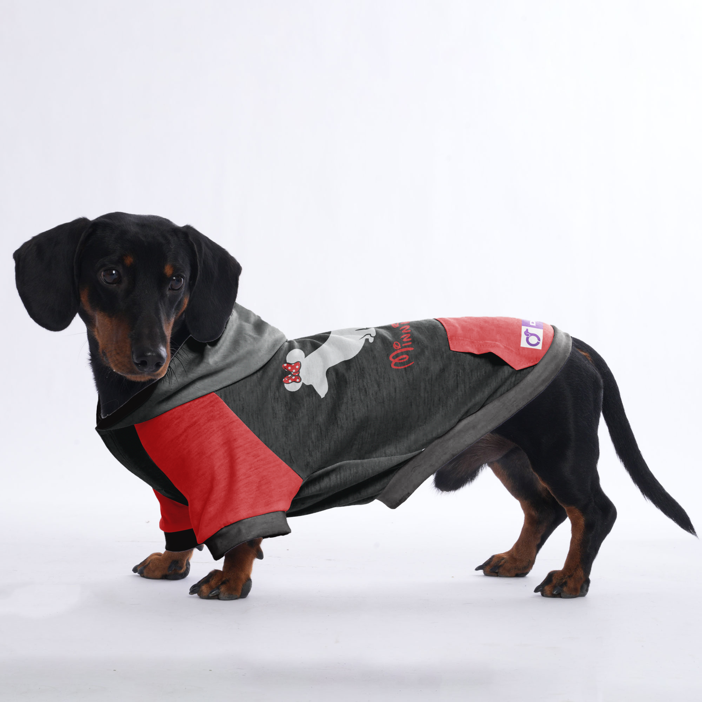 Minnie Doxie - Hoodies for Dachshunds