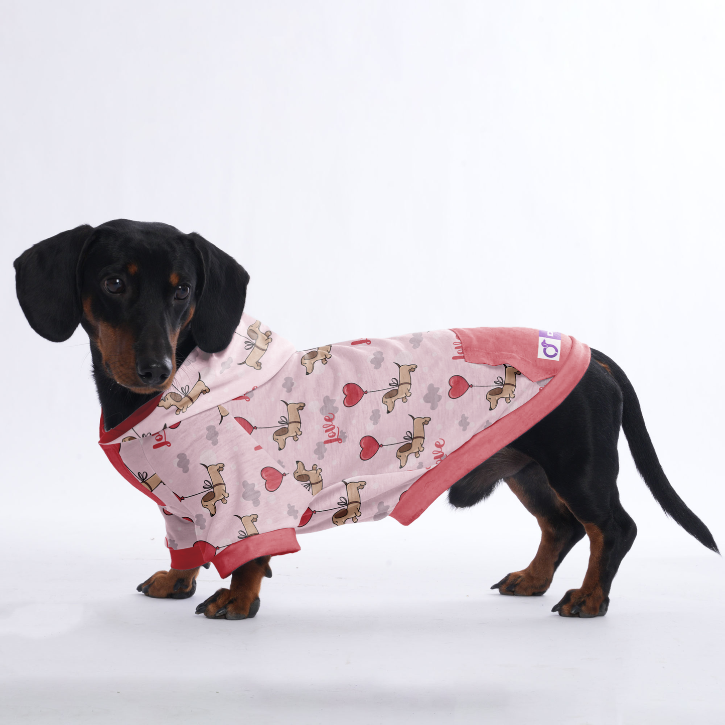 Cinnamon - Hoodies for Dachshunds