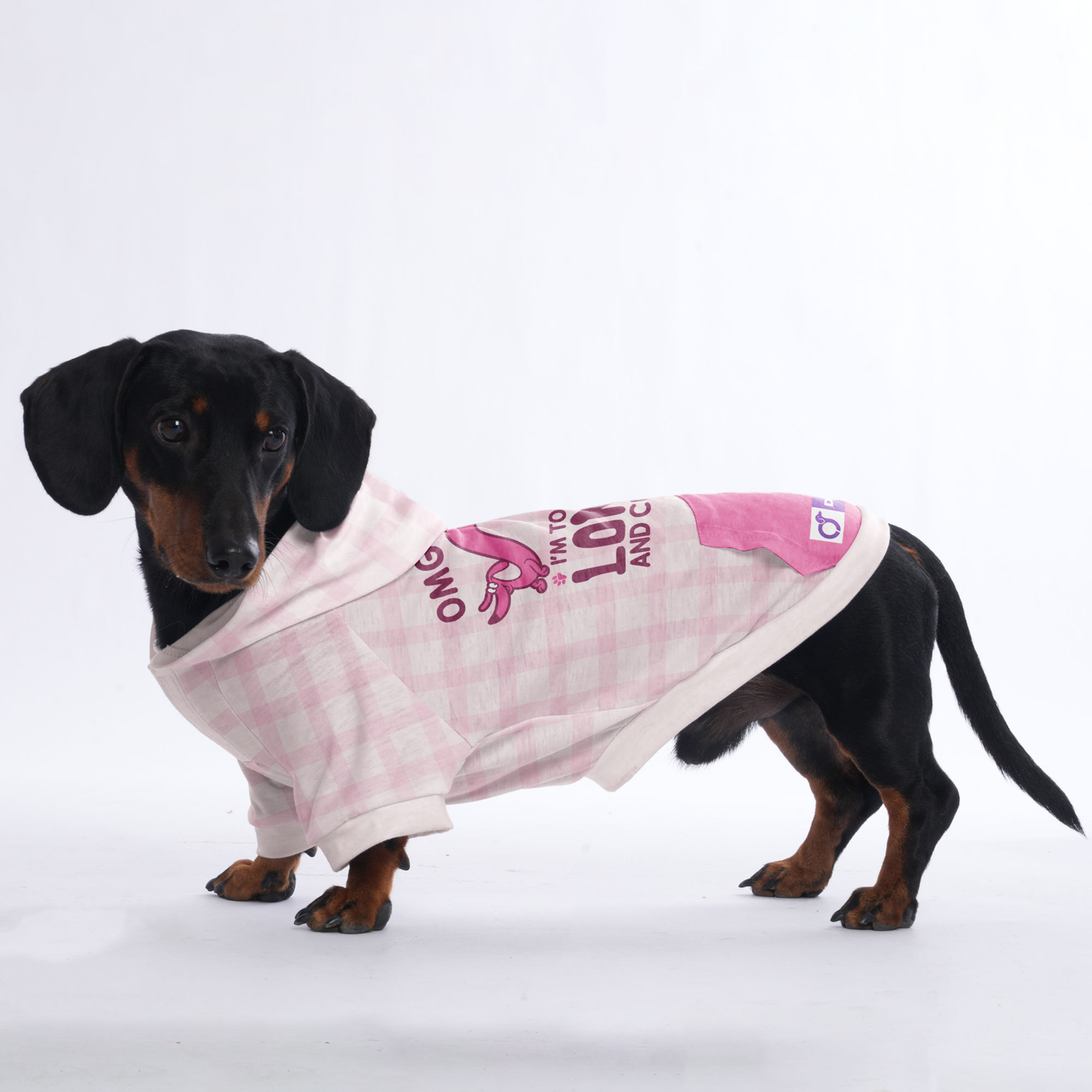 OMG , IM TOO LONG AND CUTE - Hoodies for Dachshunds