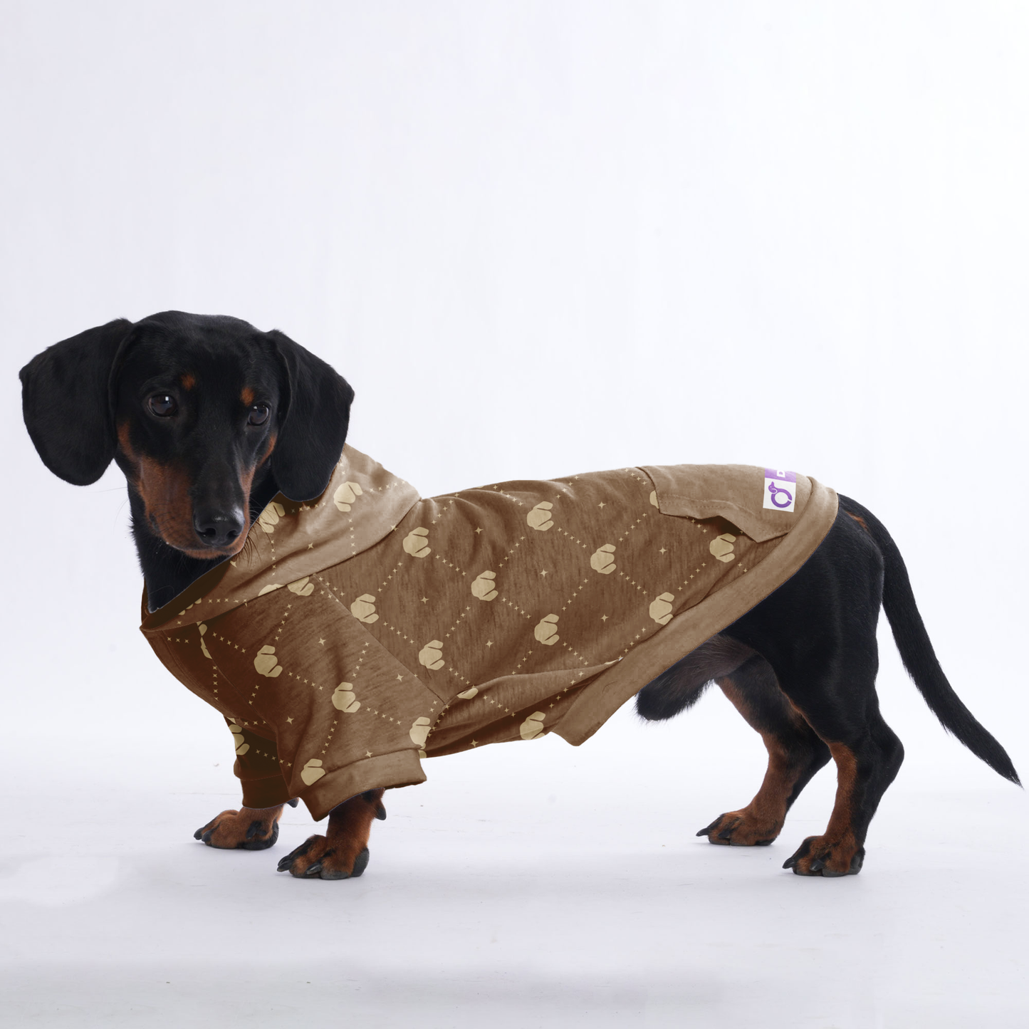 Sandra - Hoodies for Dachshunds