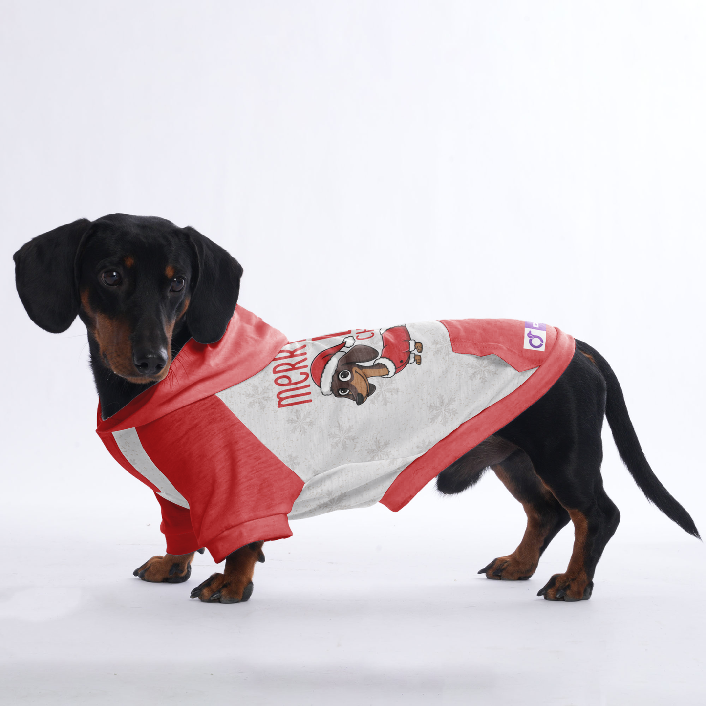 Merry and long christmas - Hoodies for Dachshunds