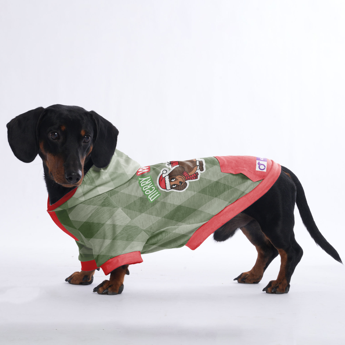 Merry woofmas - Hoodies for Dachshunds