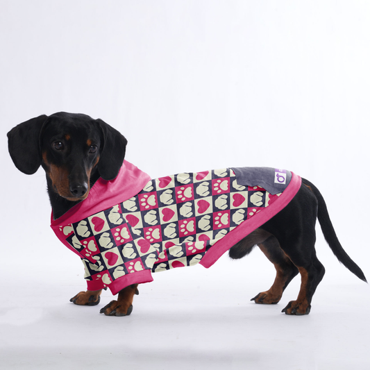 Hugo - Hoodies for Dachshunds