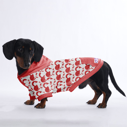 Jenkins - Hoodies for Dachshunds