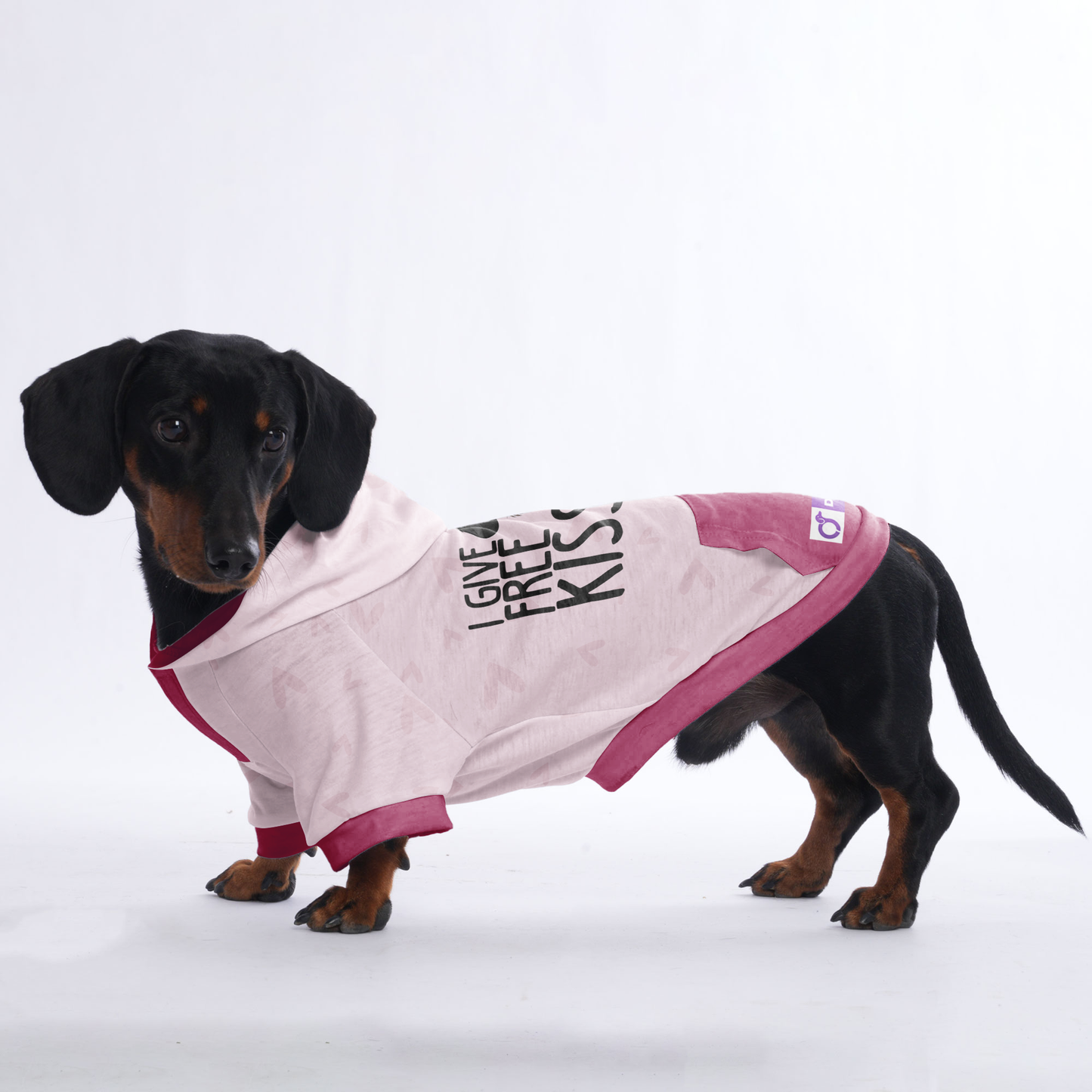 I give free kisses - Hoodies for Dachshunds