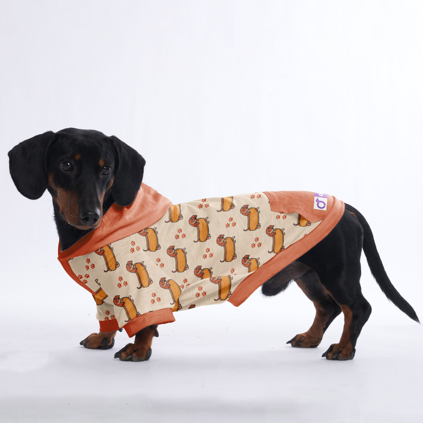 Heidi - Hoodies for Dachshunds