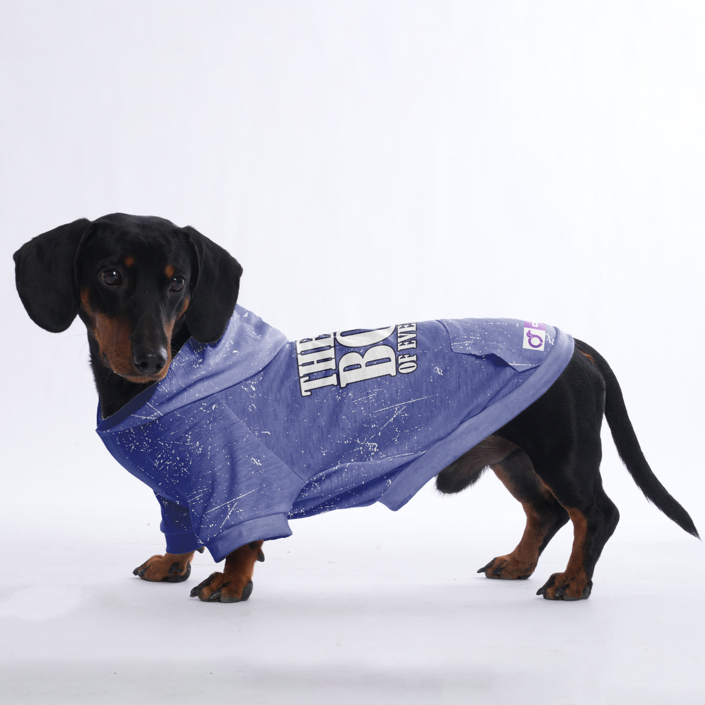 The boss of everything - Hoodies for Dachshunds