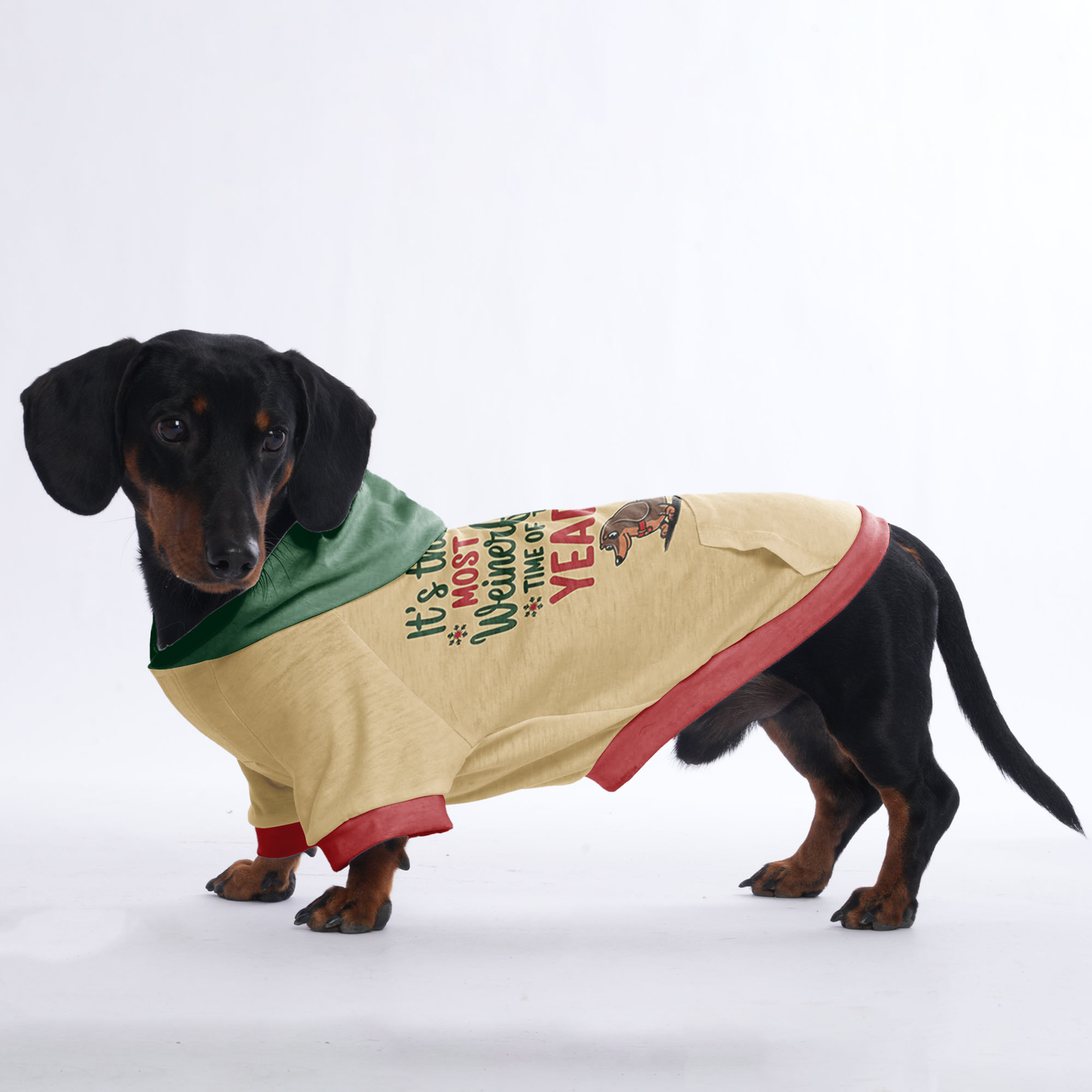 Bella - Hoodies for Dachshunds