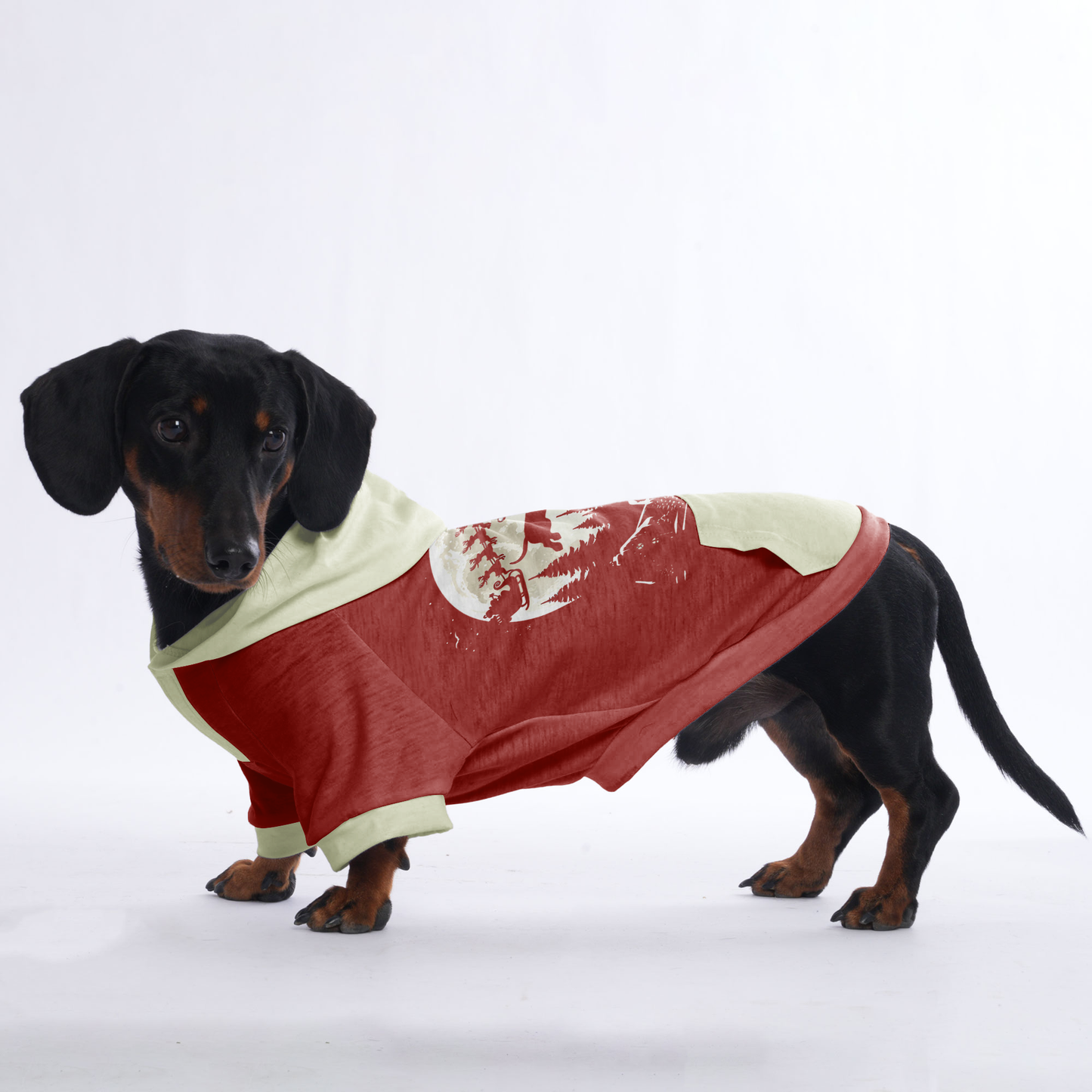 Abby - Hoodies for Dachshunds