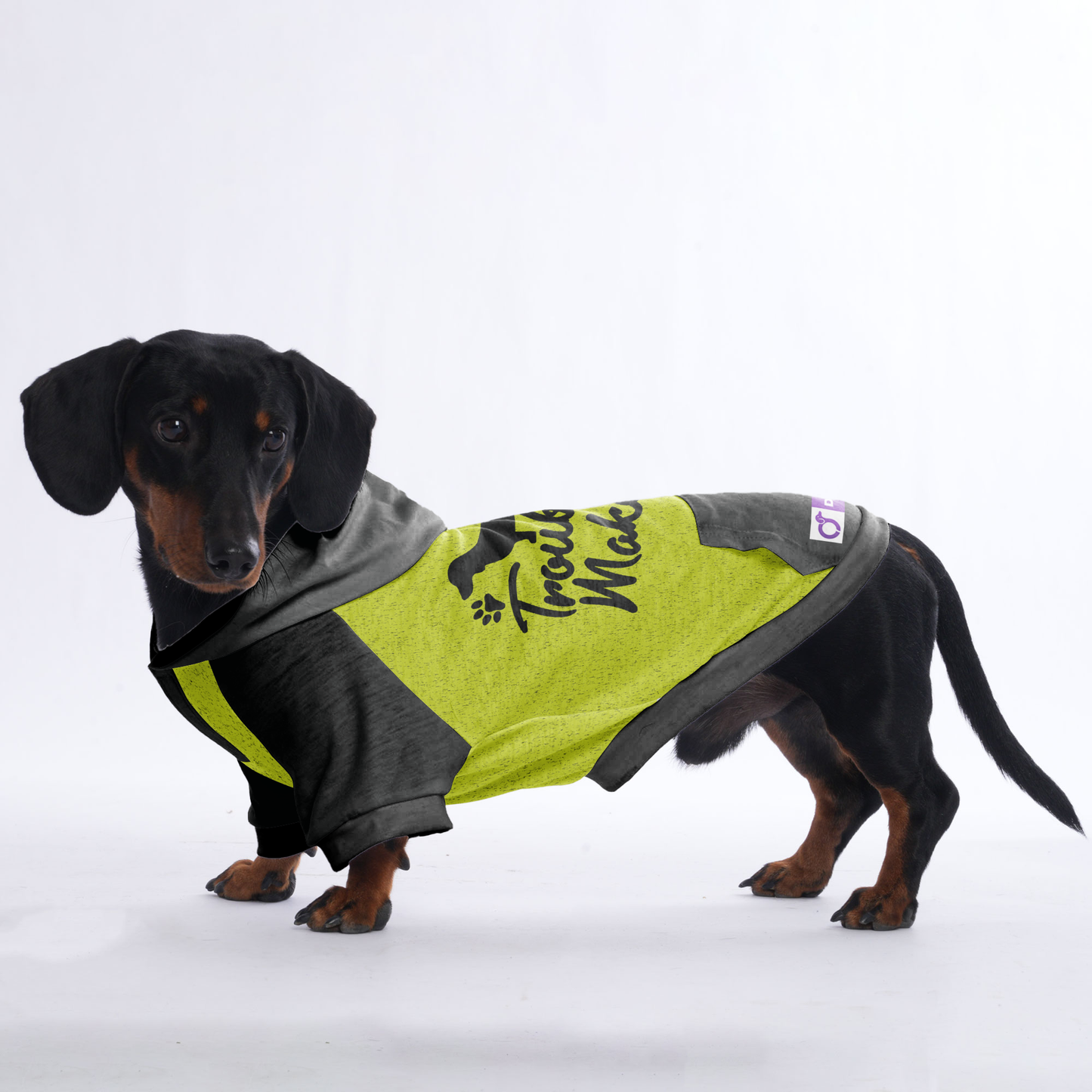 Trouble maker  - Hoodies for Dachshunds