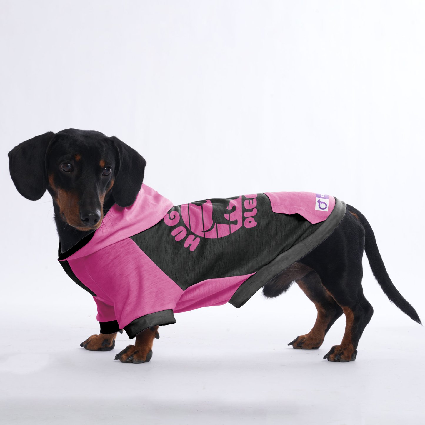 Hug me please - Hoodies for Dachshunds